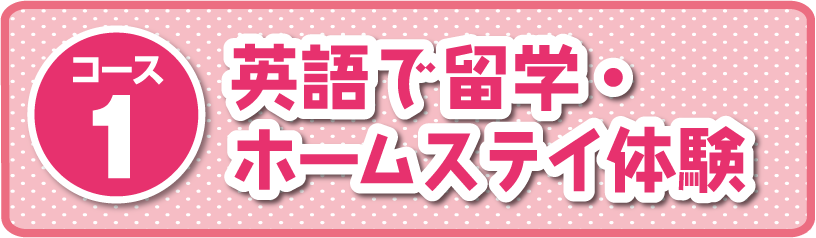 コース①：留学・ホームステイ体験 140分